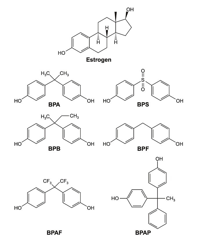 Copyright © 2021 Korean Society of Cancer Prevention under the terms of the Creative Commons Chemical structures of estrogen and bisphenols-alternatives of BPA