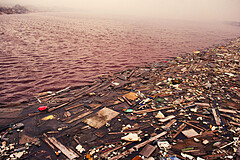 garbage in a water body